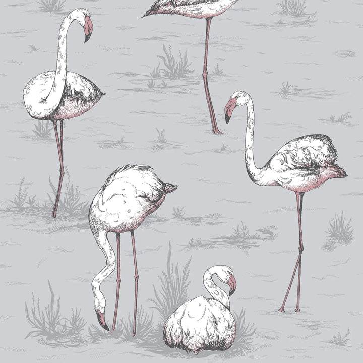 Pink Flamingo Wallpaper