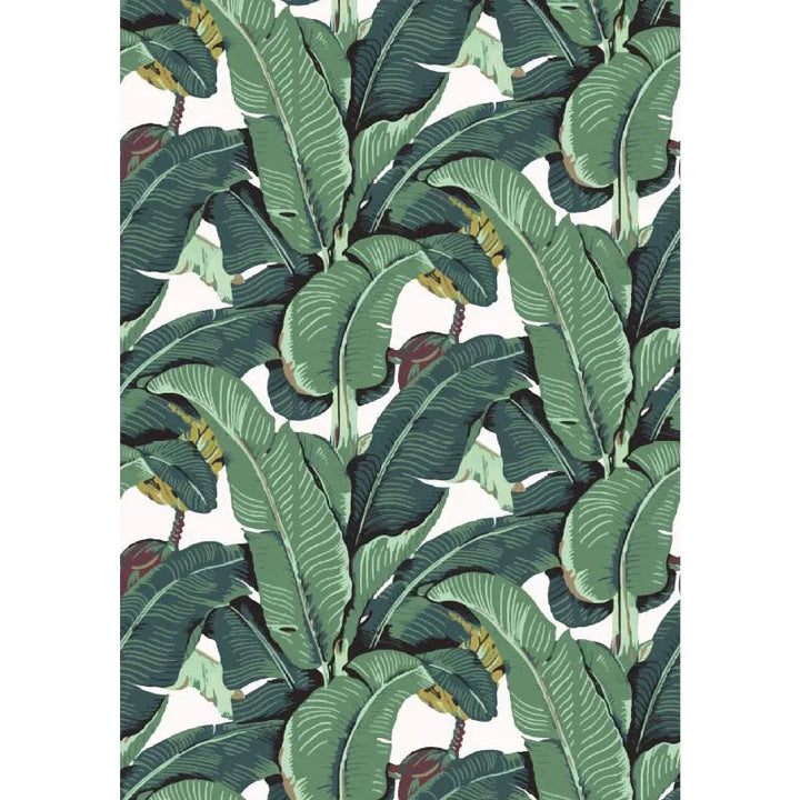 Wallpaper Leaves Pattern